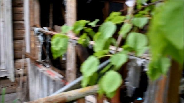 На велосипеде по заброшенным деревням и весеннему лесу