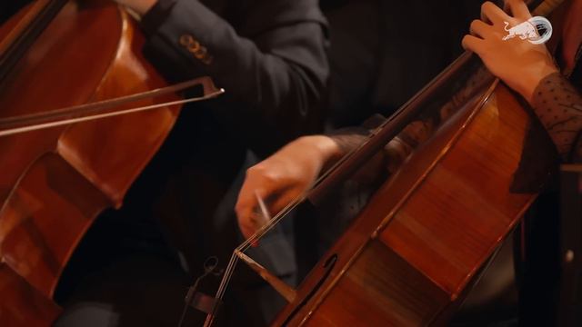 Seiler Und Speer | Red Bull Symphonic