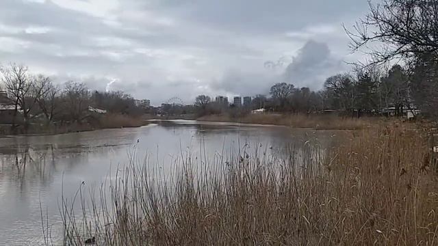 река анапка замёрзла, уточки ходят по льду смотреть онлайн