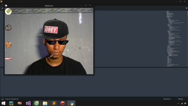 Face Filters using OpenCV, Python (Hand Tracking and Gesture Recognition) смотреть онлайн