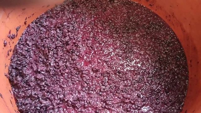 Окончание бурного брожения у Каберне и Мерло смотреть онлайн