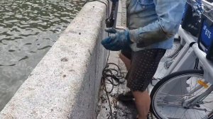 Интересные находки и шикарный результат на поисковый магнит.