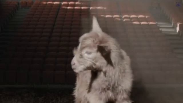 Las Naves 10,11 Y 12 Del Matadero Estrenan Nombre