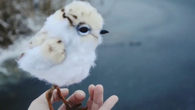 Птенчик зуек смотреть онлайн