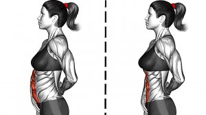 Как получить Стройную Талию и V-образный Пресс