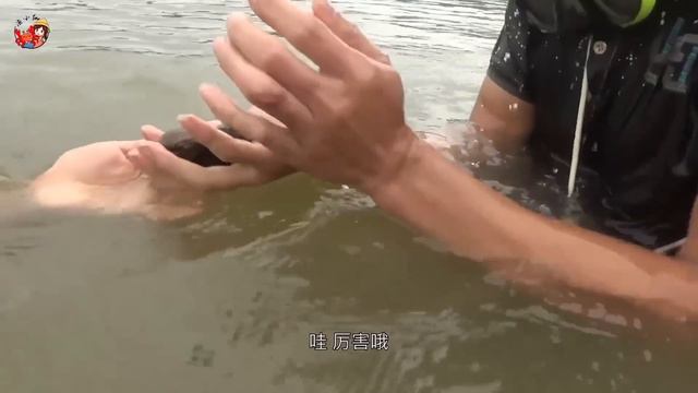 【猛貨合集】小漁趕海碰到大傢伙，張開大口盤旋在石縫底下，小漁花費半個小時終於將它制服！ 【漁小仙】 смотреть онлайн