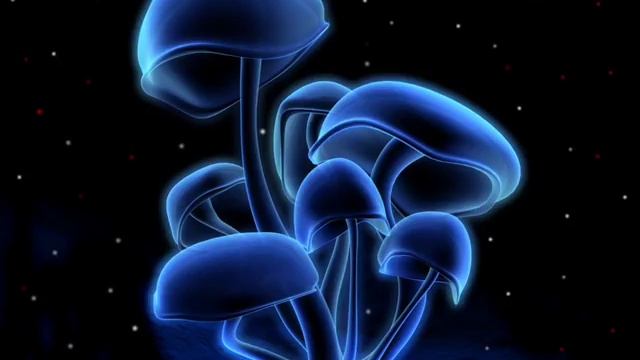 Muse Breaks смотреть онлайн