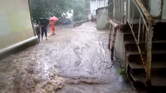 SAM 1137 смотреть онлайн