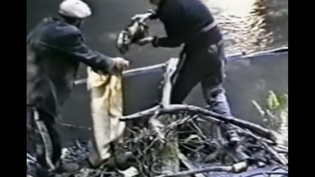 ВНИМАНИЕ!!!Спесивцев/ квартира 357