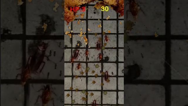 Bug Attack Gameplay смотреть онлайн