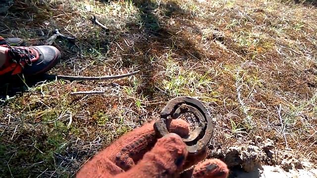 Коп 3 с пинпоинтером Deteknix Xpointer Wader