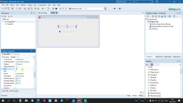TrackBar In Delphi. Embarcadero.