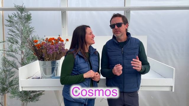 Discover The Top Easy-to-Grow Cut Flowers For Your Garden And Flower Farm! | PepperHarrowFarm.com смотреть онлайн