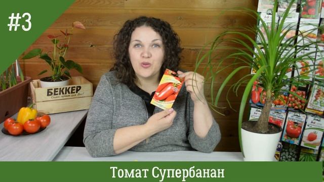 Помидоры салатные ? 5 сортов томатов со сладкой, сахарной мякотью как у арбуза! смотреть онлайн