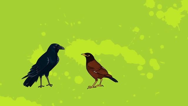 Развивашки. Профессор Почемушкин 26 серия. Почему попугаи разговаривают смотреть онлайн