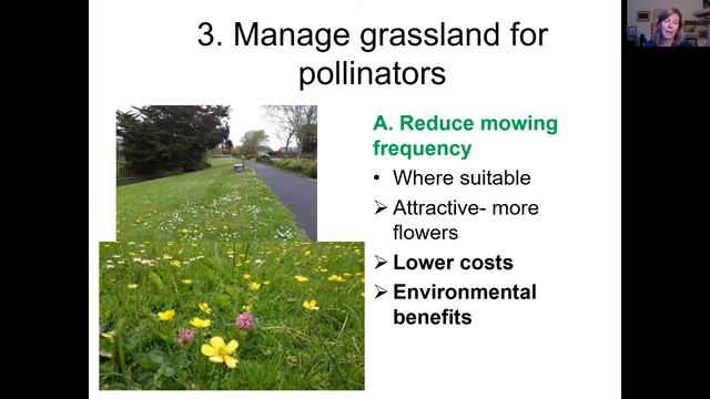 Tidy Towns and Biodiversity: Webinar with Janice Fuller смотреть онлайн