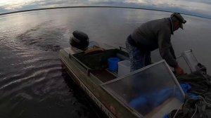 Рыбачим неводом тугуна!