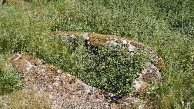 Onsved Marker Langdysse смотреть онлайн