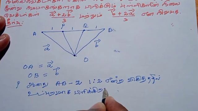 11th Maths Tamil Medium Chapter 8 Exercise 8.1 Sum 3 смотреть онлайн