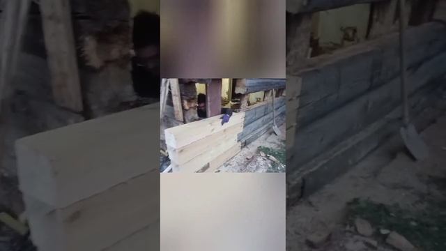 Замена гнилых брёвен сруба. смотреть онлайн