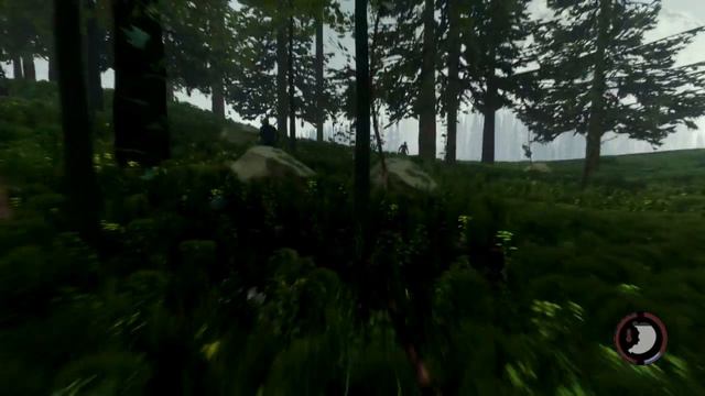 Остров извращенцев - The Forest