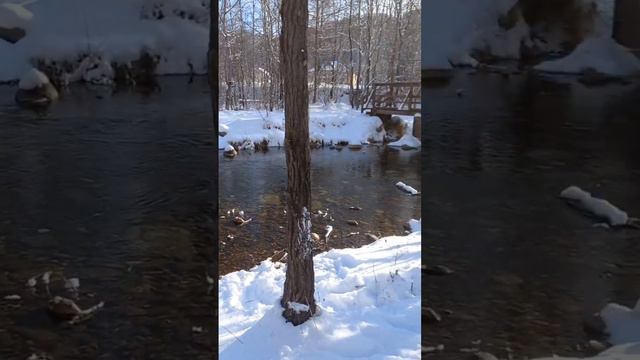 12 февраля 2023 г. смотреть онлайн