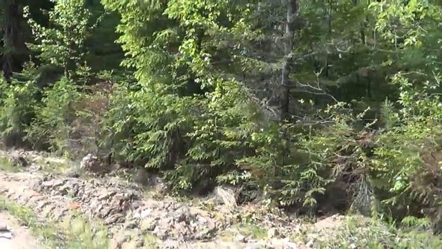 Омутнинск. Свалка рядом с трассой Омутнинск-Киров смотреть онлайн