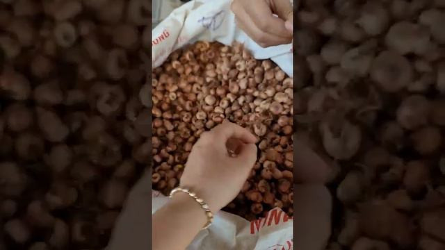 Lay Ơn Củ Bi size 300 400 củ 1kg.Năm nay em vẫn nhận của hoa lay ơn nhé Bá💥Tư vấn : 𝟎𝟗𝟔𝟖𝟎𝟔𝟕𝟗𝟎𝟓 смотреть онлайн