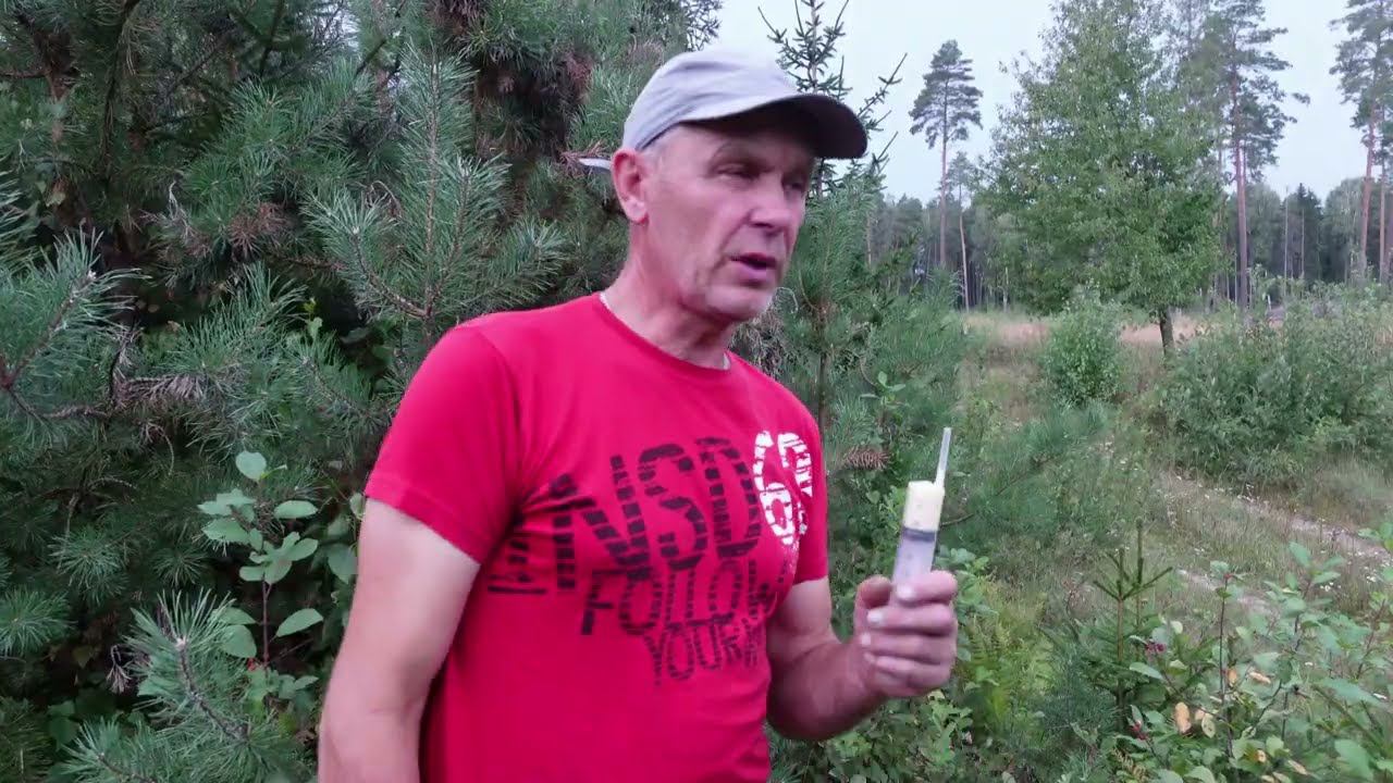 сезон по сбору маточного молочка продолжается смотреть онлайн