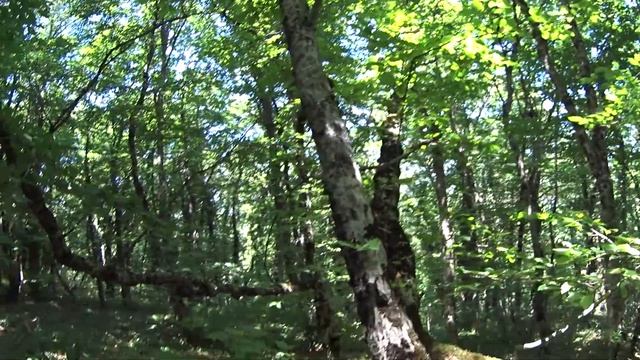 Эпизод 9. Крутой подъем вверх по горе. Тяжелое дыхание. В висках стучит горячая кровь... смотреть онлайн