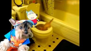 ТВ ВУМЕН застукали СО СКИБИДИ ТУАЛЕТОМ в ДУШЕ! Skibidi Toilet СКИБИДИ ТУАЛЕТ ТВ ВУМЕН Валеришка Мак