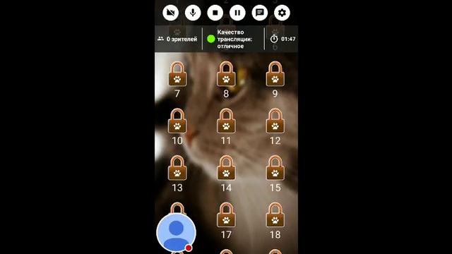 Стрим игры "Найди кота 2". смотреть онлайн