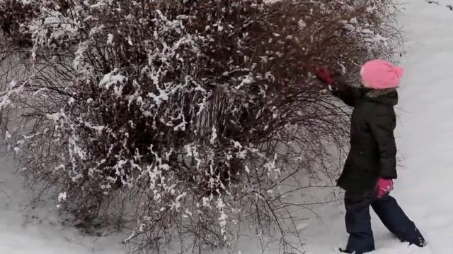 Окно во двор (спасибо Хичкоку за название) смотреть онлайн