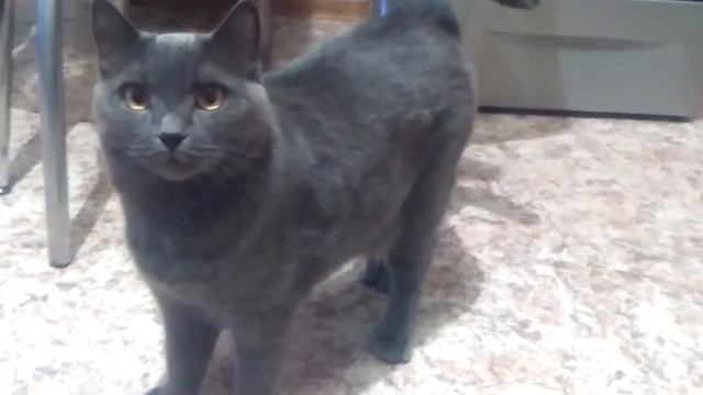 Малыш зависает смотреть онлайн