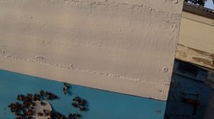 Пчелиное воровство. Кто виноват и как остановить? Пчеловодство для начинающих.