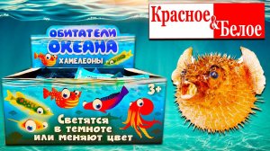 Собрали ПОВЕЛИТЕЛЕЙ ОКЕАНА из КБ / НАШЛИ РЕДКУЮ рыбу