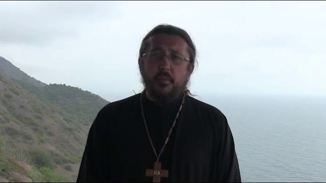 Почему животные страдают. Священник Игорь Сильченков