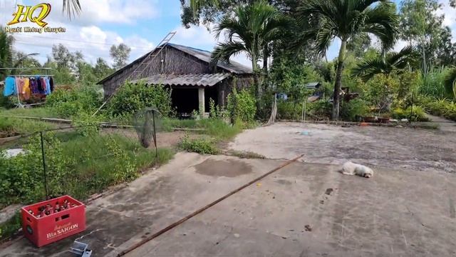 Cách Vệ Sinh Sét Và Sơn Dàn Cầu Máy KIA 25, Của Người Không Chuyên смотреть онлайн
