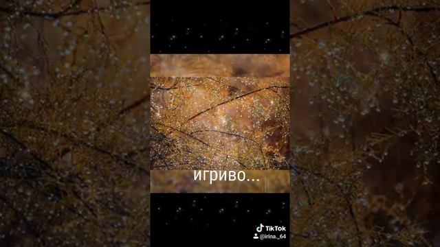 С добрым осенним утром! смотреть онлайн