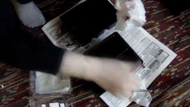 Комнатные растения Добровольских #4 / Посадка: пассифлора, леонотис, колеус и мимоза. смотреть онлайн