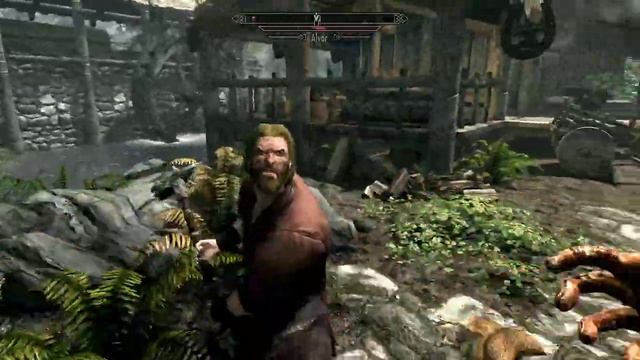 Punching A Chicken In Skyrim