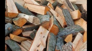 Продажа дров как начать бизнес с нуля СКОЛЬКО МОЖНО ЗАРАБОТАТЬ  БИЗНЕС ИДЕЯ