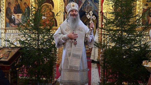 Проповедь митрополита Иоанна в день попразднства Рождества Христова и Собора Пресвятой Богородицы смотреть онлайн