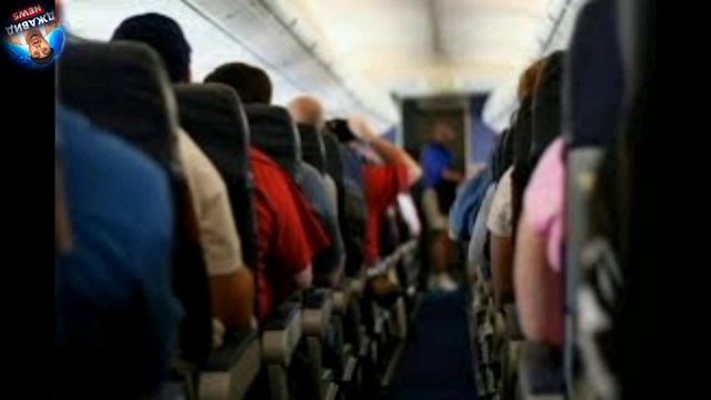 Джавид Ньюз: Новости UFC И Пиво