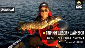 Твичинг шедов и шайнеров на мелководье. Алексей Шанин. Часть 1