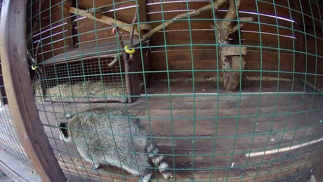 Кудыкина Гора 2022г.