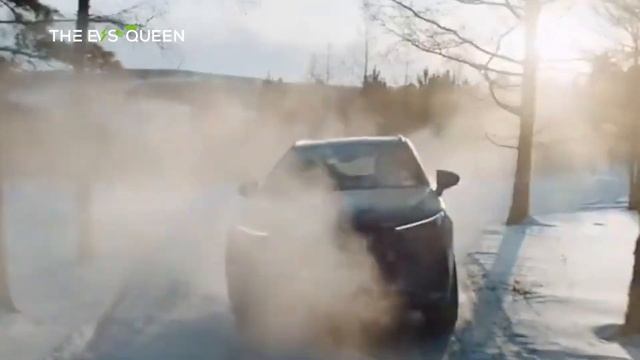 Denza Shows Interior Details Of New SUV N8