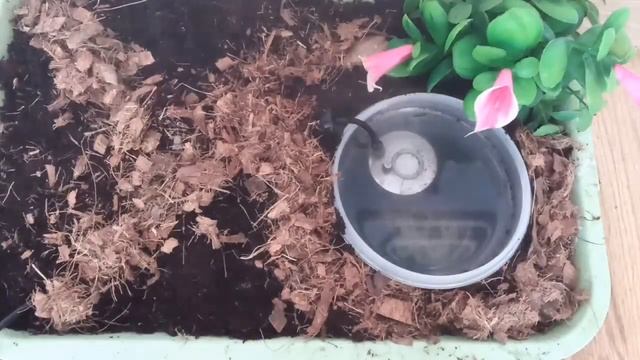 Как красиво декорировать террариум? КРАСИВОЕ ОФОРМЛЕНИЕ ТЕРРАРИУМА СВОИМИ РУКАМИ. ? смотреть онлайн