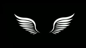 Футаж белые крылья для вставки в видео #2