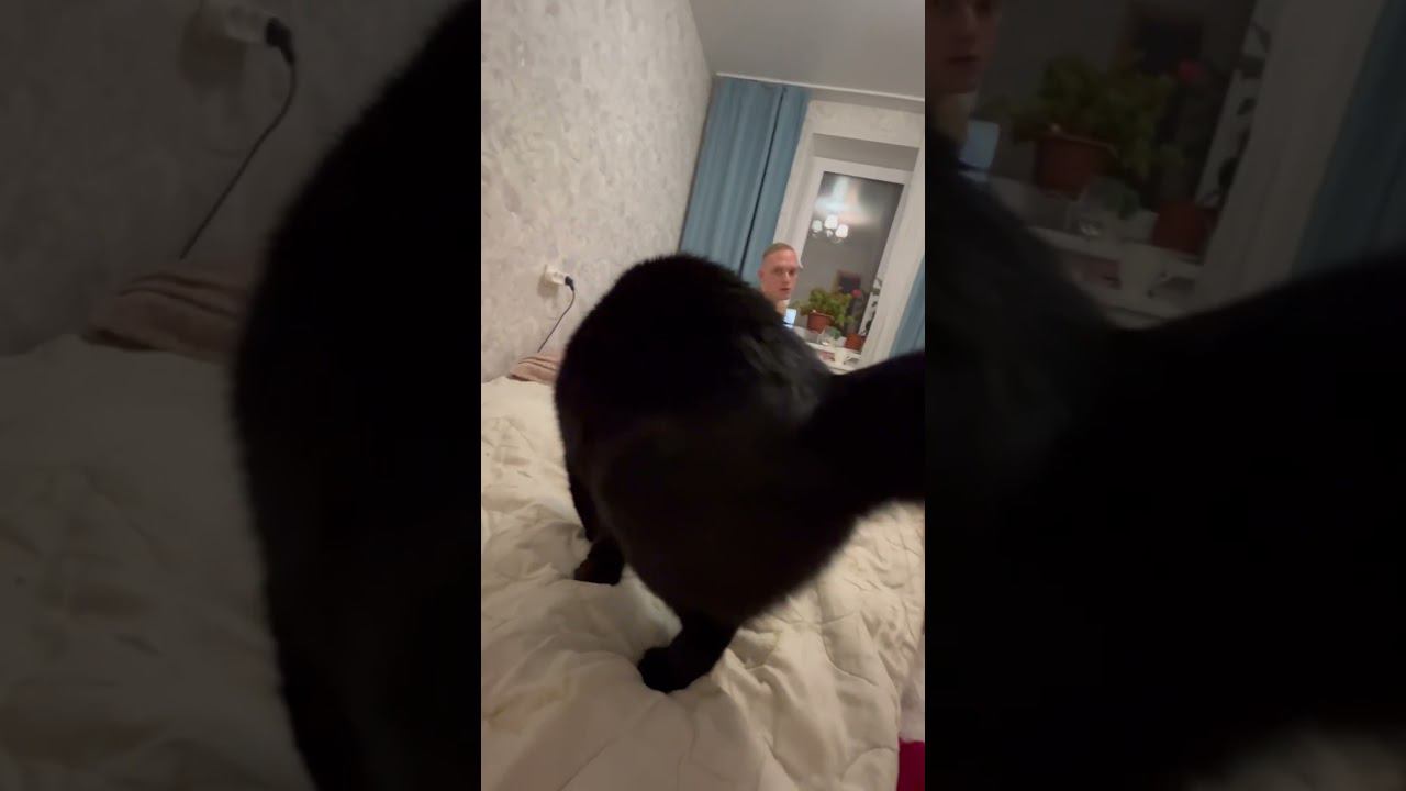 Нянька смотреть онлайн